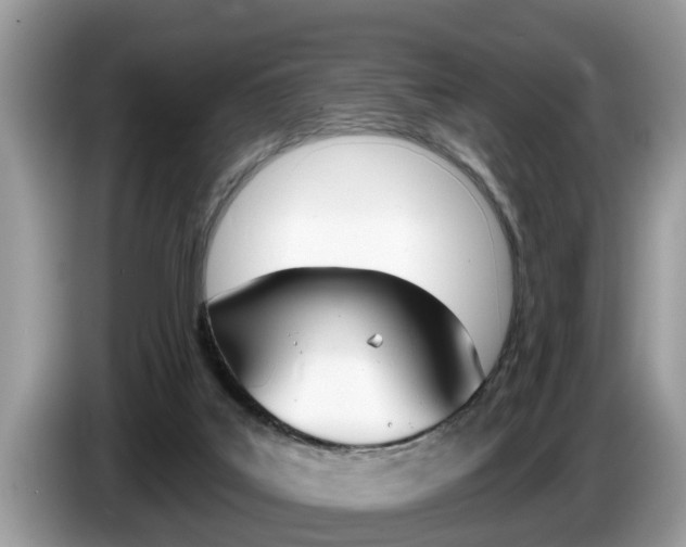 X0000087570019200704270951