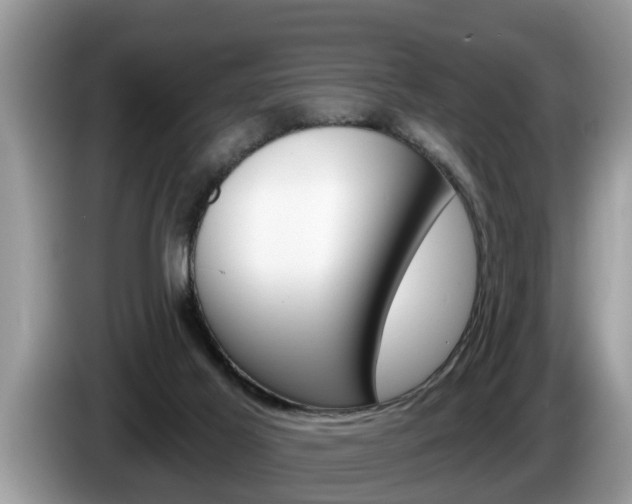 X0000087570021200704270951