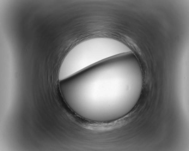 X0000087570025200704270951