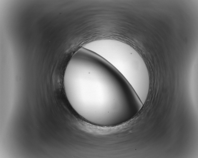 X0000087570039200704270951