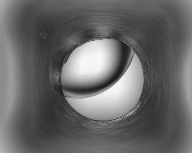 X0000087570045200704270951