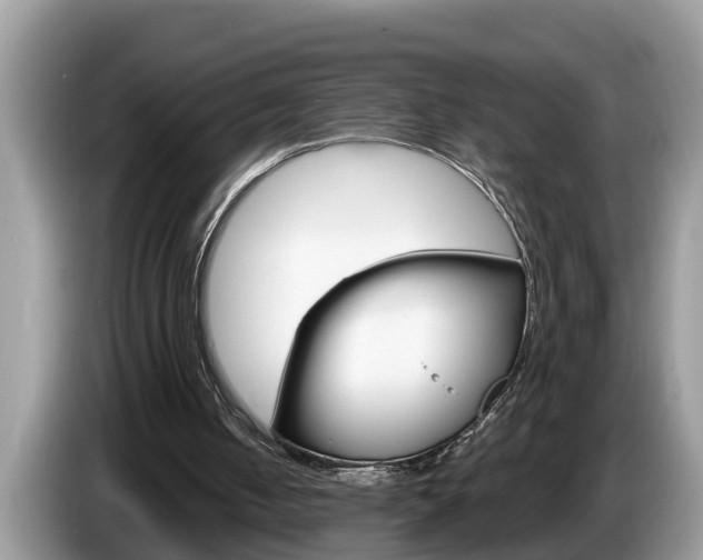 X0000087570050200704270951