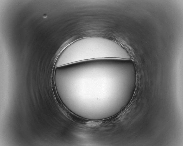X0000087570051200704270951