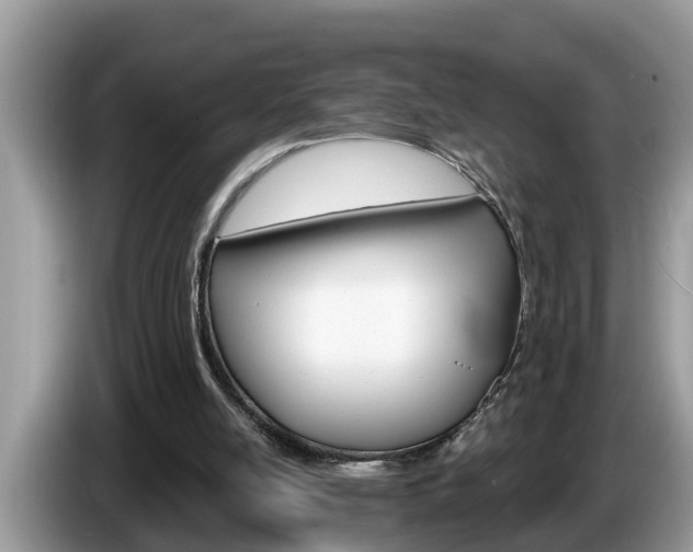 X0000087570054200704270951