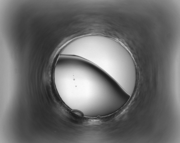 X0000087570055200704270951