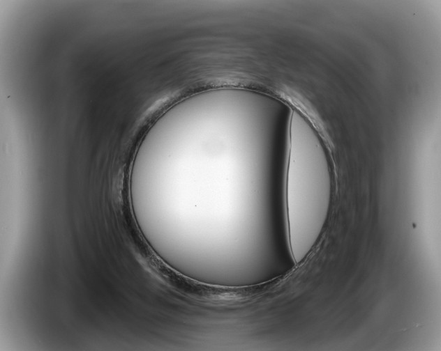 X0000087570058200704270951