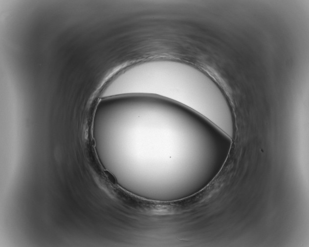 X0000087570060200704270951