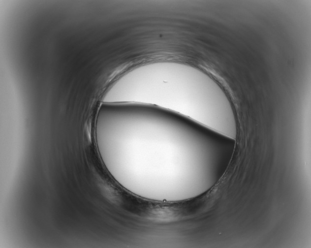 X0000087570062200704270951
