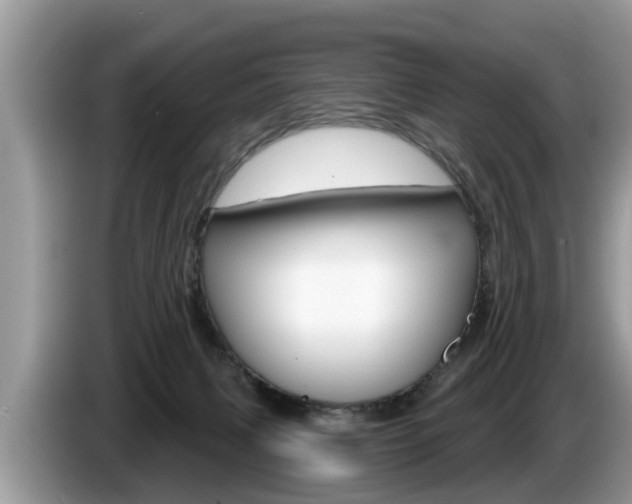 X0000087570079200704270951