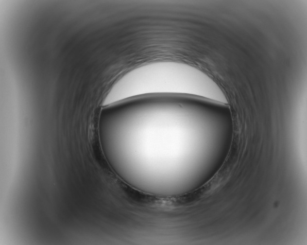 X0000087570080200704270951