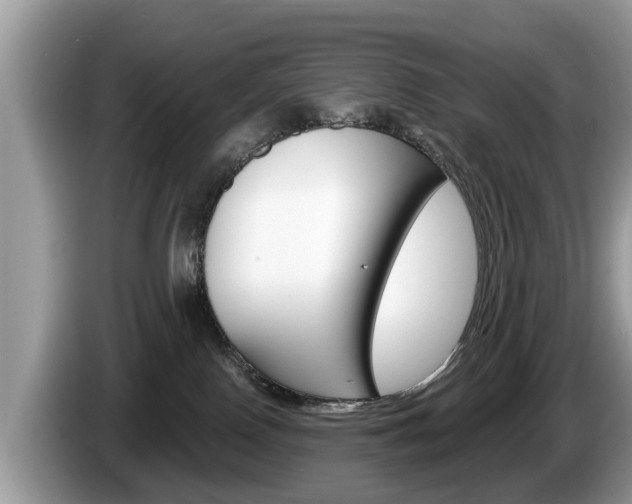 X0000087570090200704270951