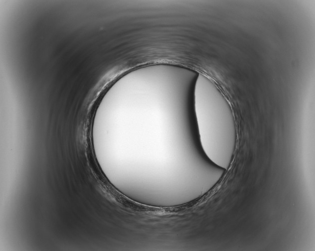X0000087570098200704270951