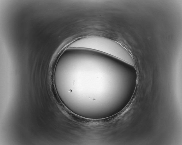 X0000087570101200704270950