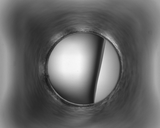 X0000087570105200704270950