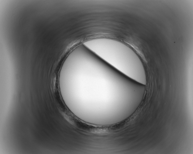 X0000087570110200704270950