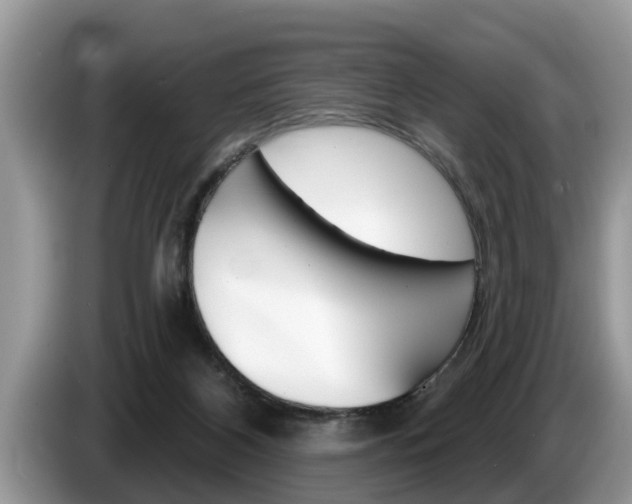 X0000087570116200704270950