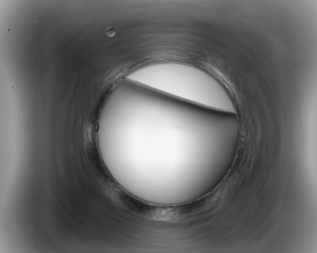 X0000087570117200704270950