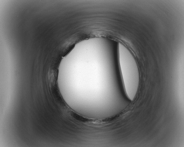X0000087570121200704270950