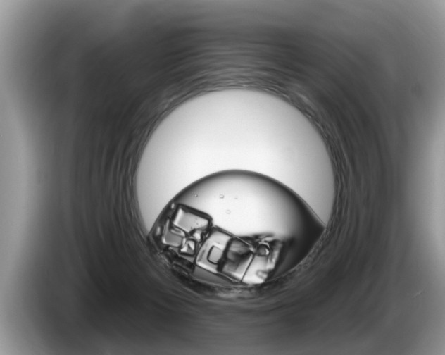 X0000087570125200704270950
