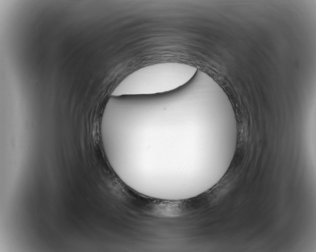 X0000087570138200704270950