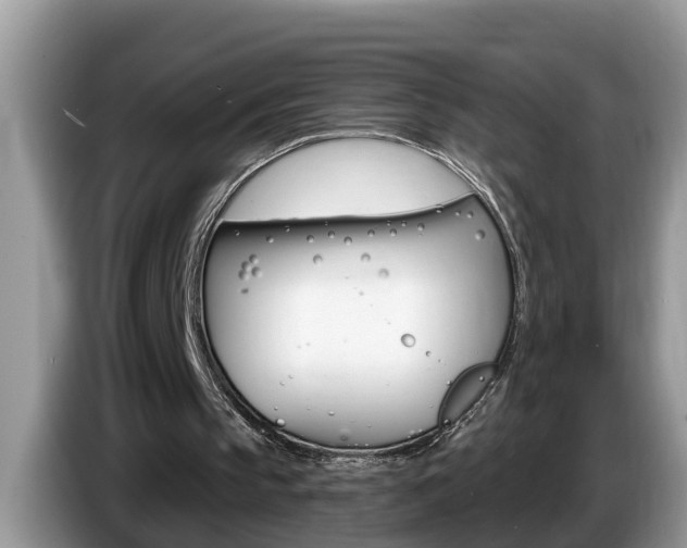 X0000087570145200704270949