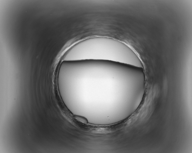 X0000087570151200704270949