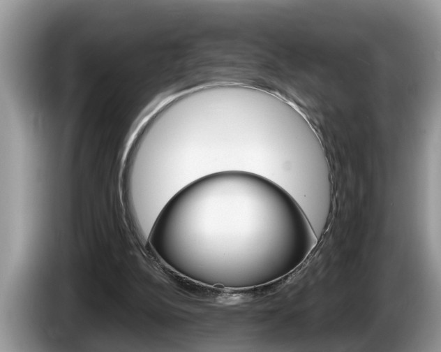 X0000087570152200704270950