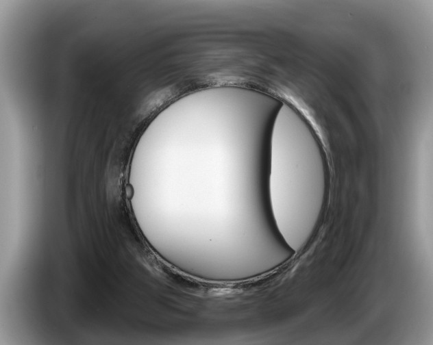 X0000087570153200704270950