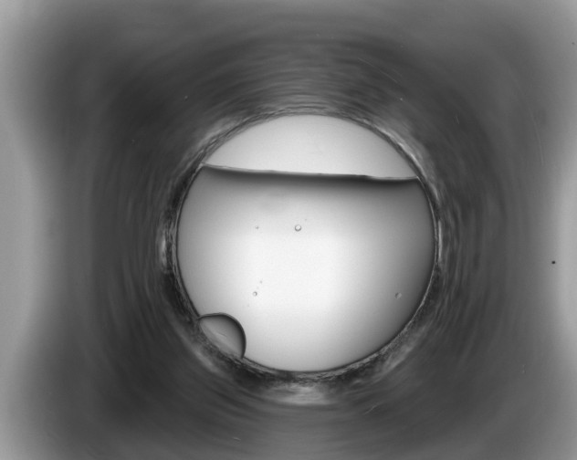 X0000087570157200704270950