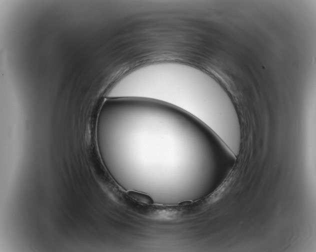 X0000087570158200704270950