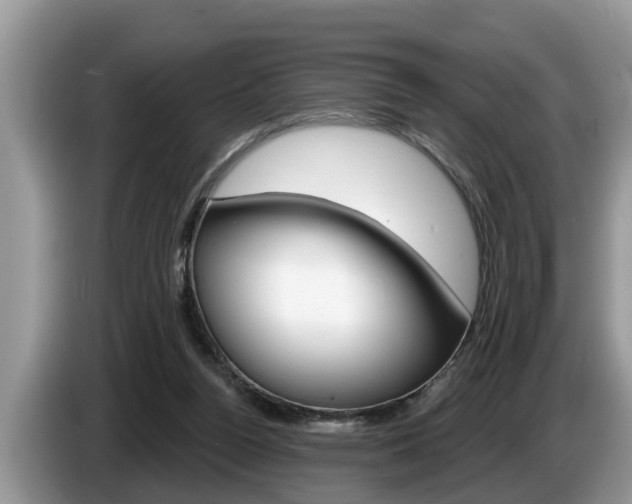 X0000087570160200704270950