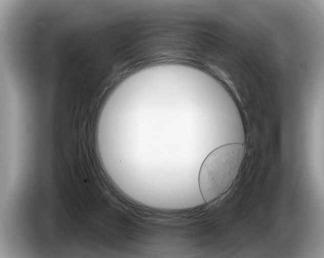 X0000087570162200704270950