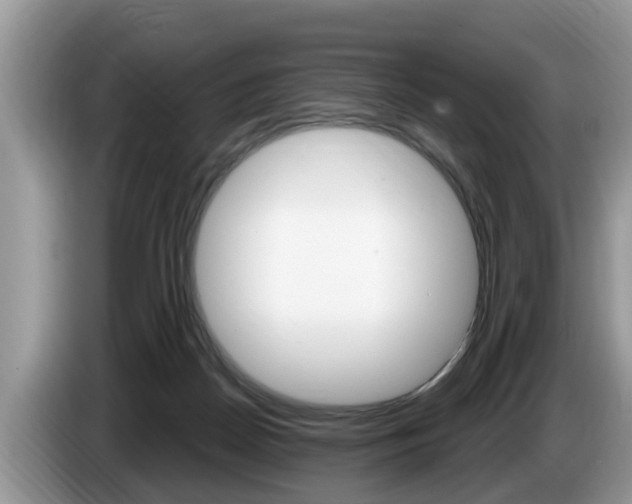 X0000087570170200704270950