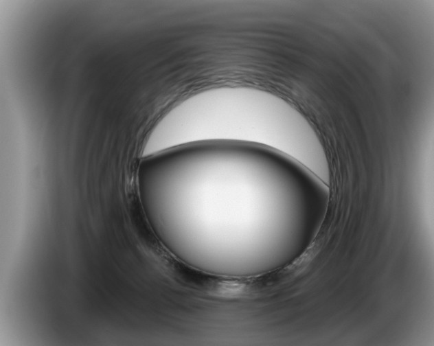 X0000087570176200704270950