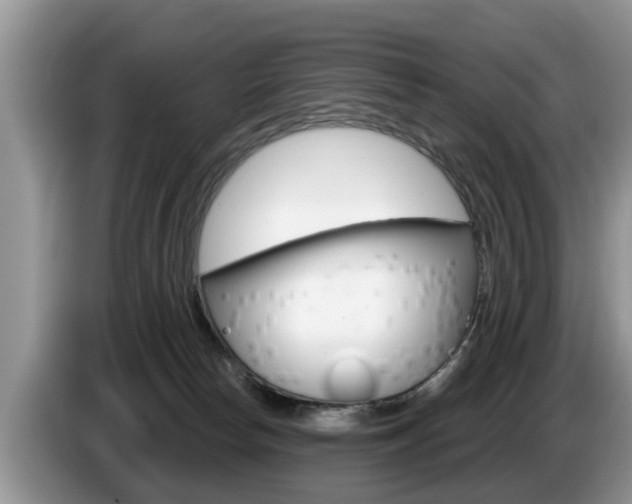 X0000087570178200704270950