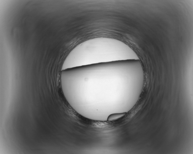 X0000087570189200704270950