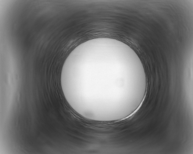 X0000087570190200704270950