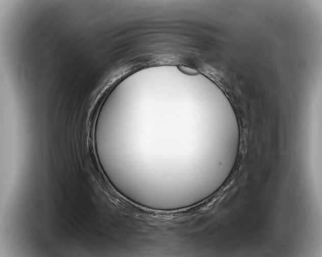 X0000087570194200704270949
