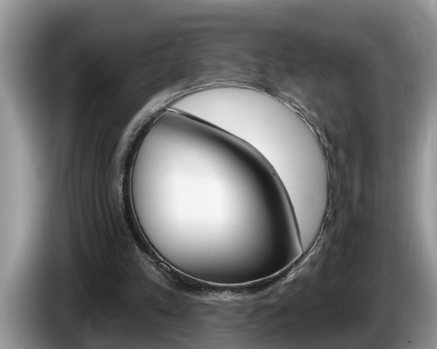 X0000087570197200704270949