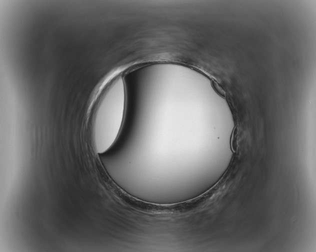 X0000087570200200704270949