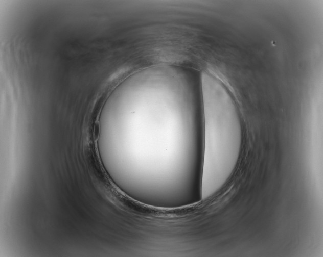 X0000087570203200704270949