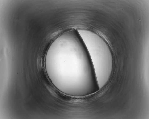 X0000087570205200704270949