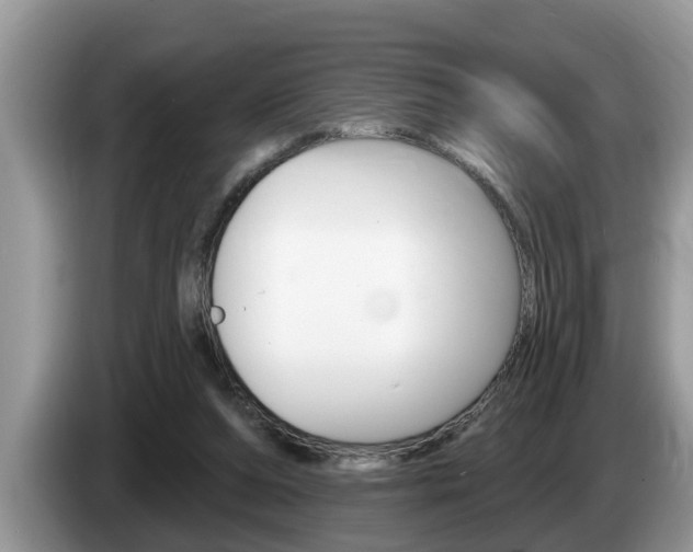 X0000087570208200704270949