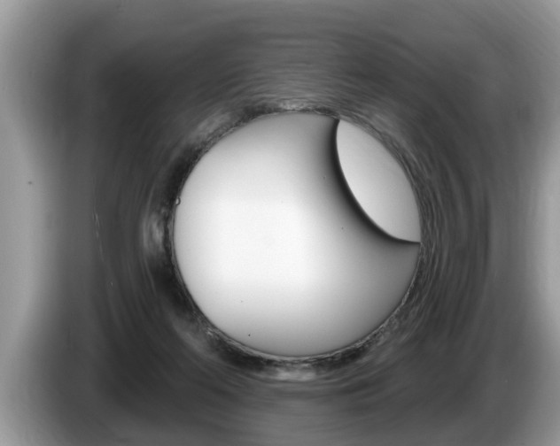 X0000087570214200704270949