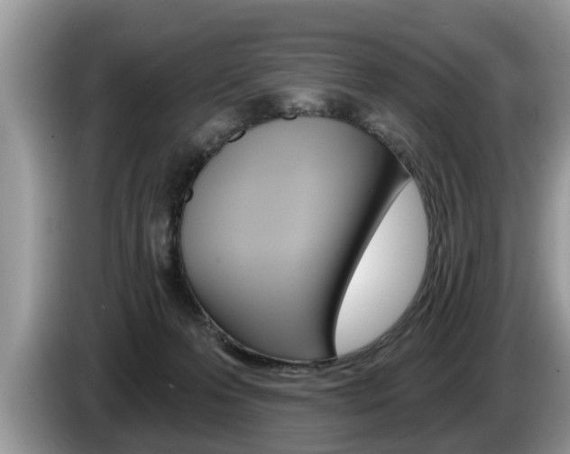 X0000087570223200704270949
