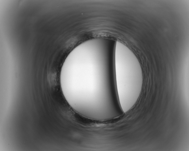 X0000087570224200704270949