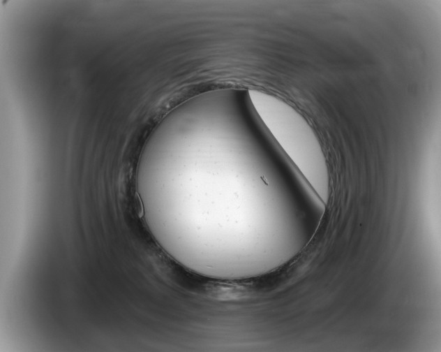 X0000087570229200704270949