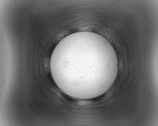 X0000087570234200704270949