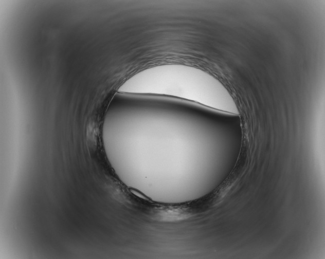 X0000087570235200704270949
