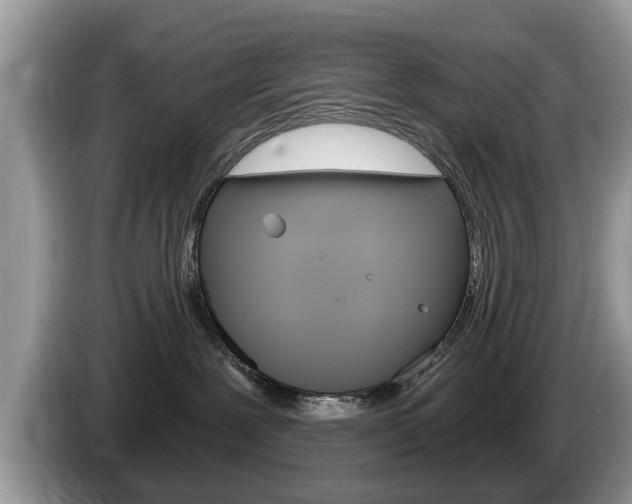 X0000087570239200704270949